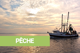 peche